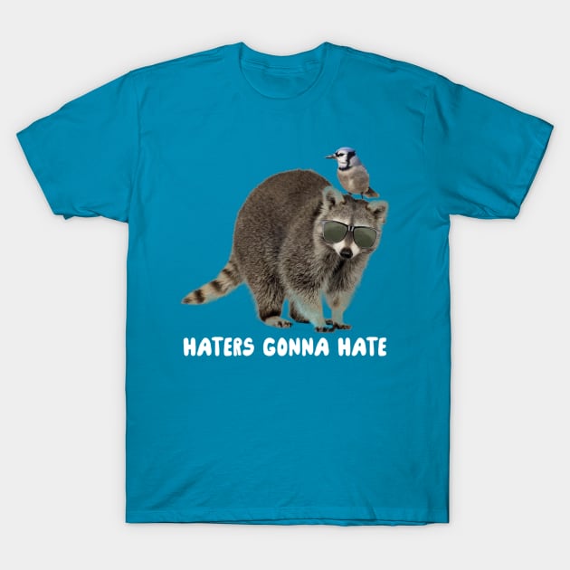 Haters Gonna Hate T-Shirt by MeanDean